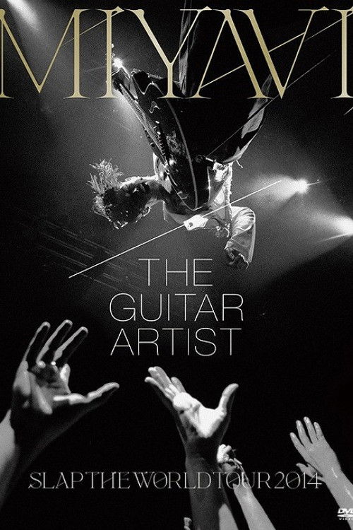 MIYAVI - SLAP THE WORLD TOUR FINAL 2014 AT ZEPP DIVERCITY,  TOKYO, JAPAN (2014) poster
