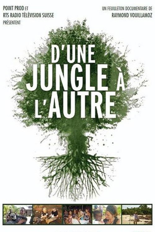 D’une jungle à l’autre (2012) poster