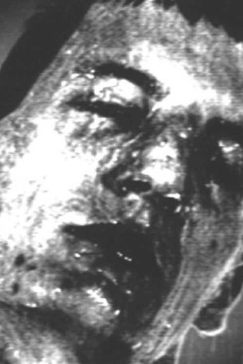 Got Away In the Dying Moments (1992) poster