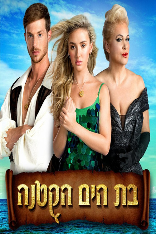 The Little Mermaid The Musical (2016) poster