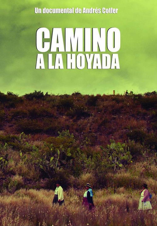 Camino a la Hoyada (2014) poster