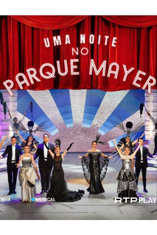 Uma Noite no Parque Mayer (2022) poster