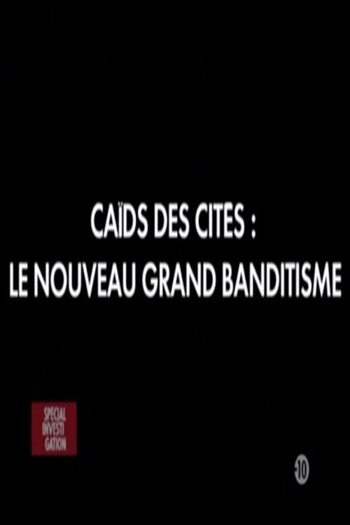 Caïds des cités: Le nouveau grand banditisme (2010) poster