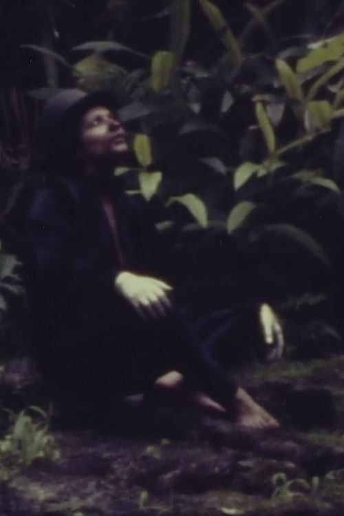 Adagio (1980) poster