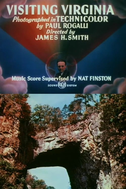 Visiting Virginia (1947) poster