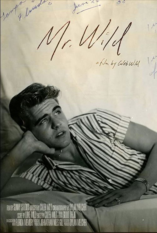 Mr. Wild (2020) poster
