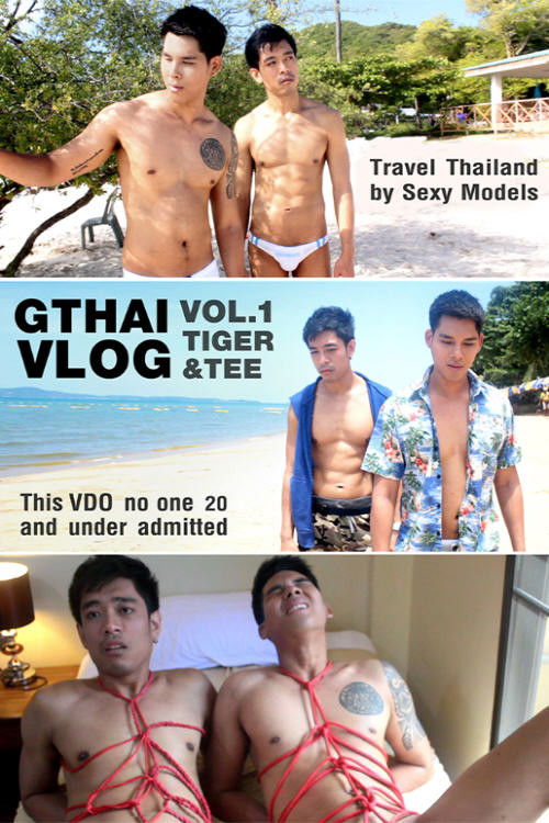 Gthai Vlog Vol. 1: Tiger & Tee (2019) poster