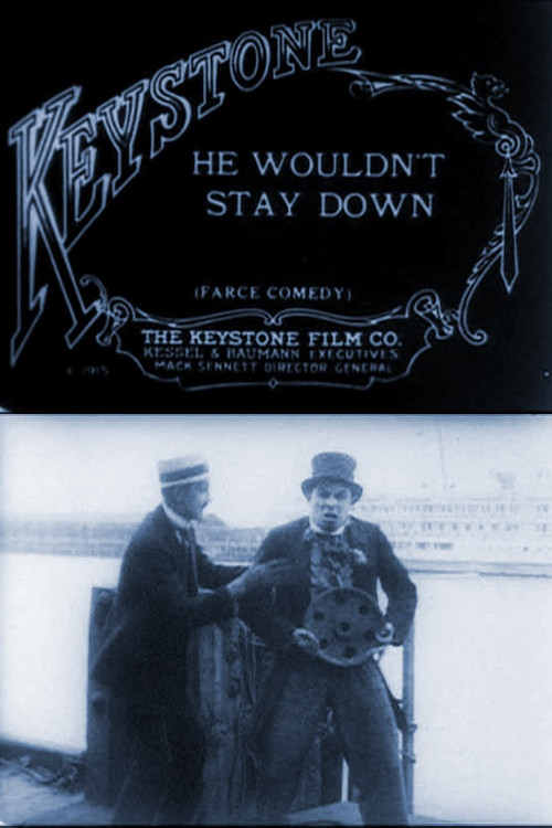 He Wouldn't Stay Down (1915) poster