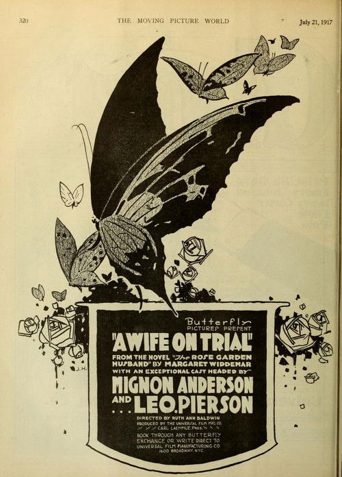 A Wife on Trial (1917) poster