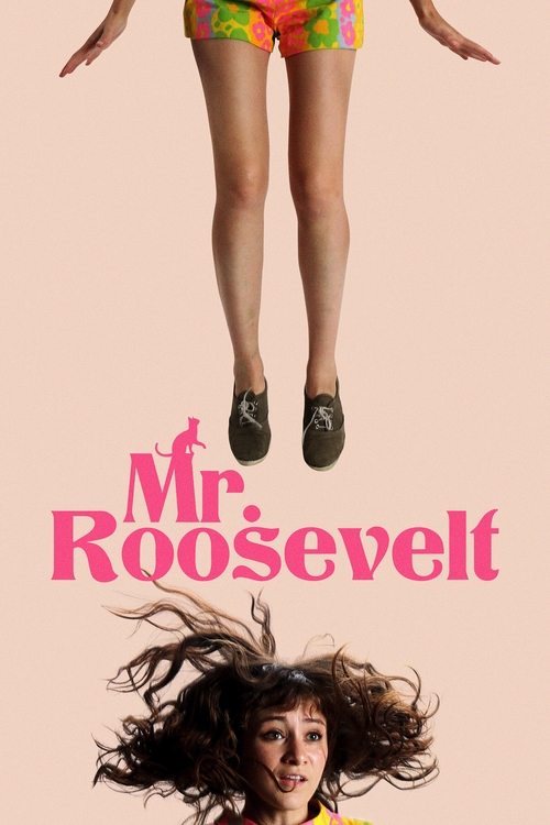 Mr. Roosevelt (2017) poster