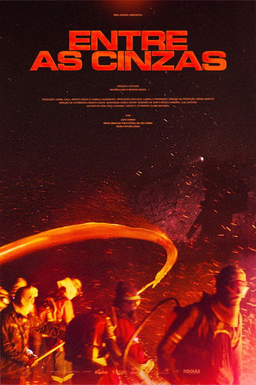 Entre as cinzas (2025) poster