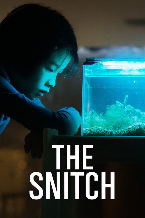 The Snitch (2025) poster