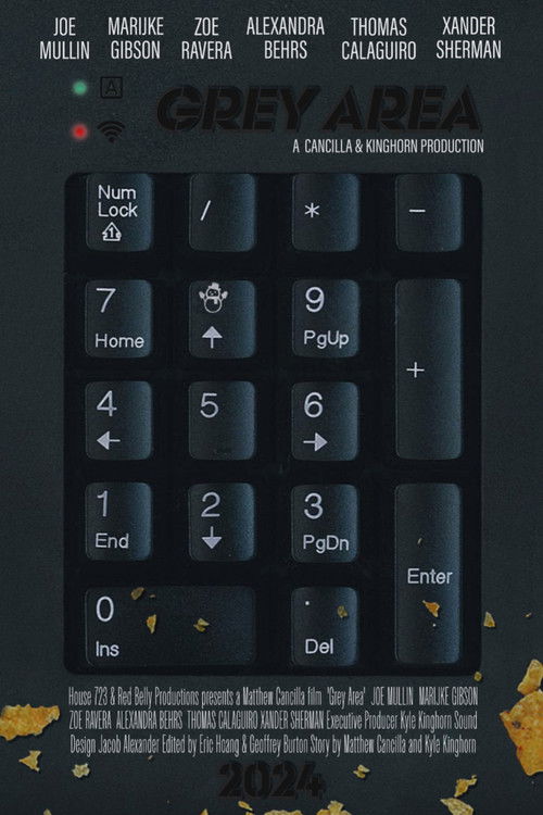 Grey Area (2025) poster