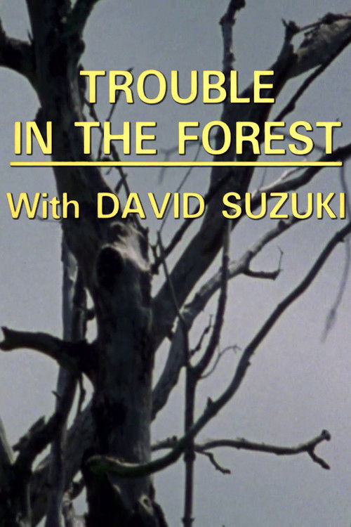 Trouble in the Forest (1988) poster