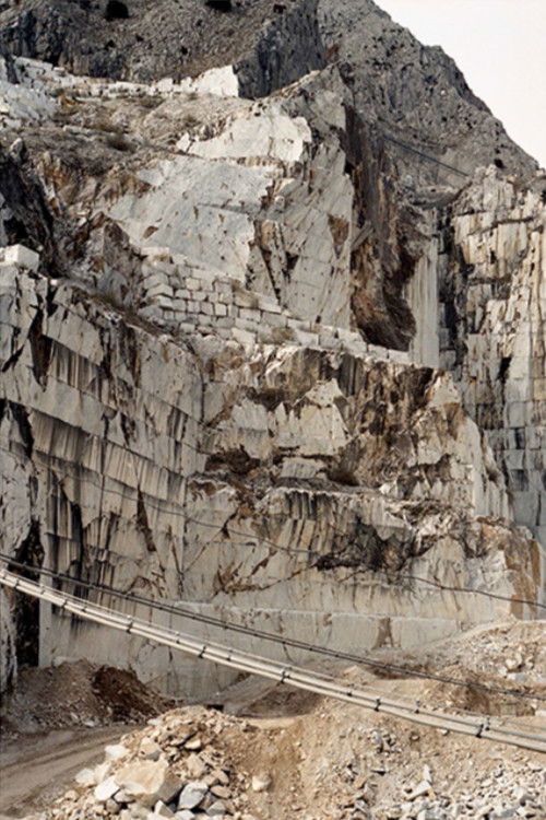 Blossoms and fruits at once (2019) poster