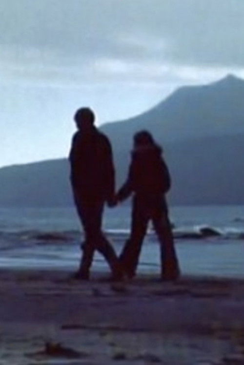 Heystblómur (1976) poster