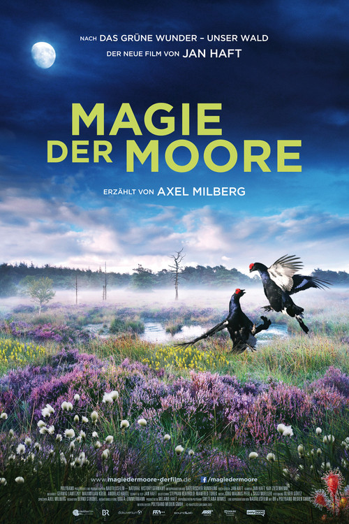 Magie der Moore (2015) poster