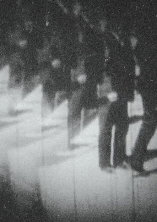 Playback (1973) poster