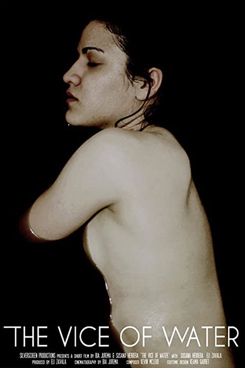 The Vice of Water (2016) poster