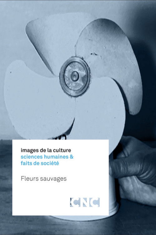Fleurs sauvages (2016) poster