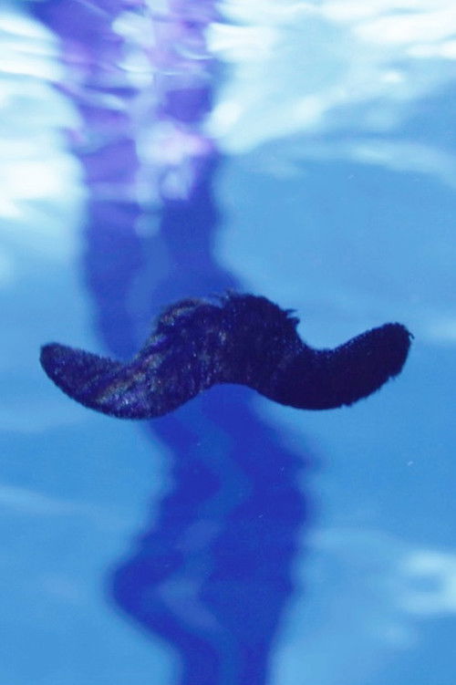 A Hair's Breadth poster