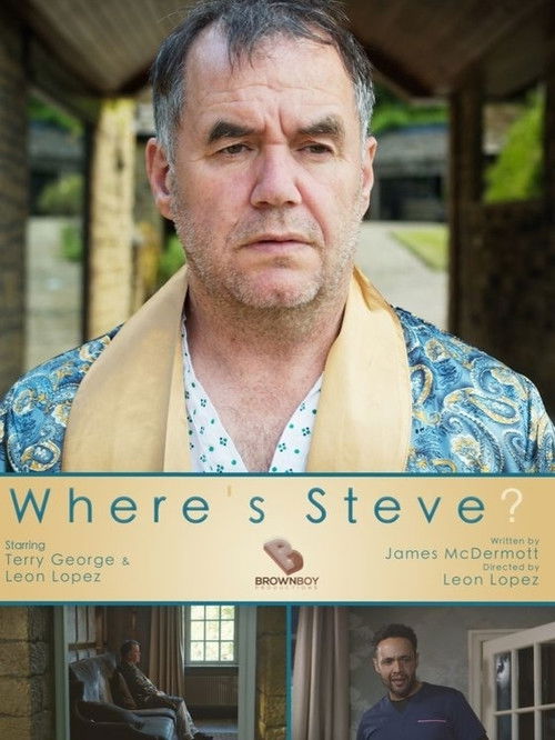 Where's Steve? (2020) poster
