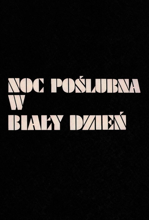 Noc poślubna w biały dzień (1996) poster