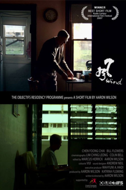 Feng (2007) poster