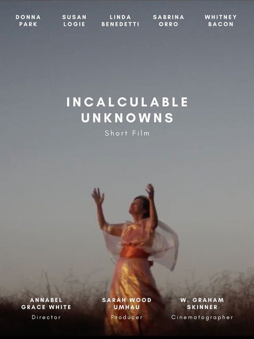 Incalculable Unknowns (2021) poster