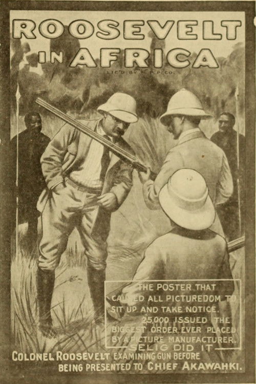 Hunting Big Game in Africa (1909) poster