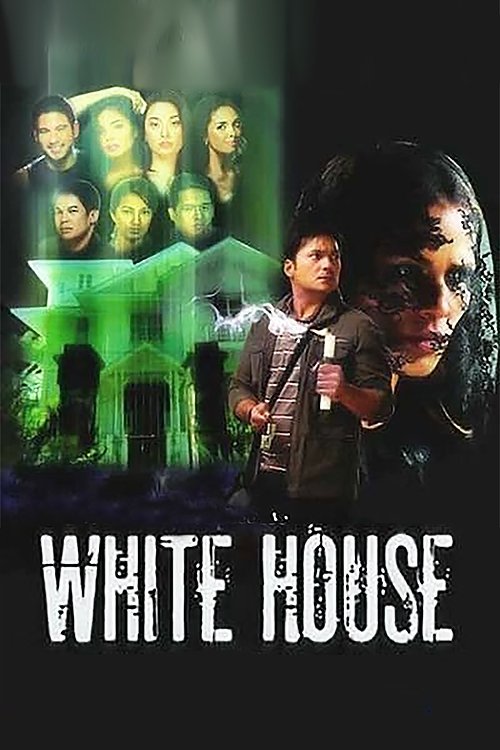 White House (2010) poster
