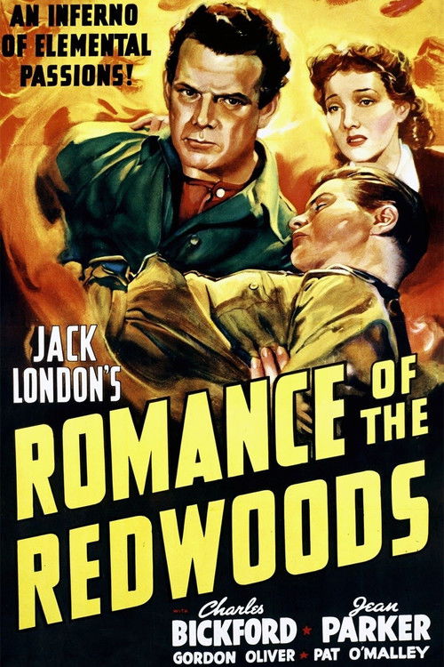 Romance of the Redwoods (1939) poster