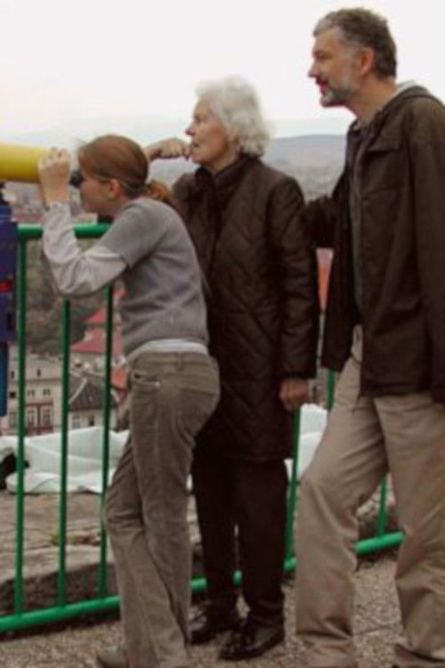 Familienreise (2004) poster