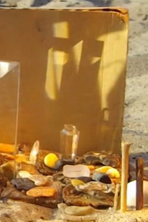 Sun Projections (Wannsee) (2013) poster