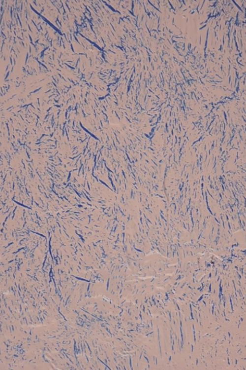 The Extravagant Shadows (2012) poster