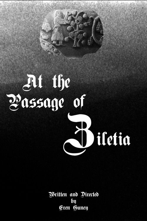 At the Passage of Ziletia poster