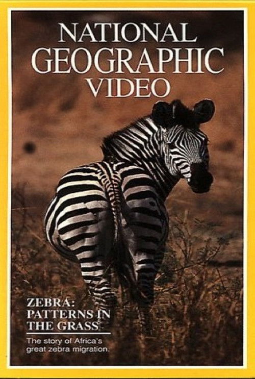 Zebras: Patterns in the Grass (1991) poster