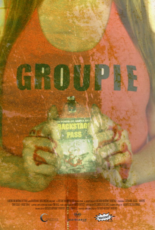 Groupie (2013) poster
