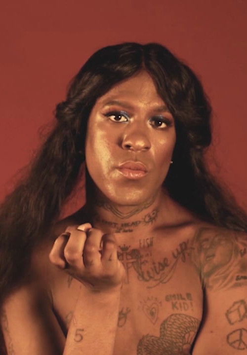 I Want A Dyke For President (2016) poster