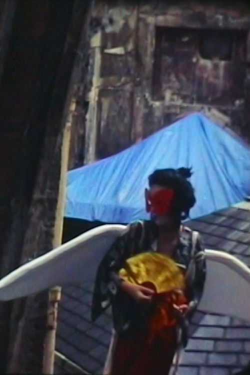 Butterfly Experiment (2008) poster