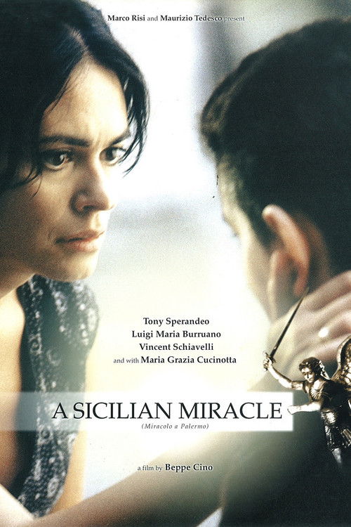 Miracolo a Palermo! (2005) poster