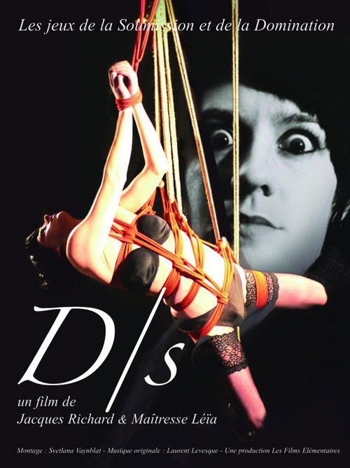 D/s (2011) poster