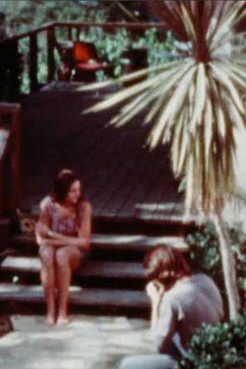 Notes on Bob and Nancy (1977) poster