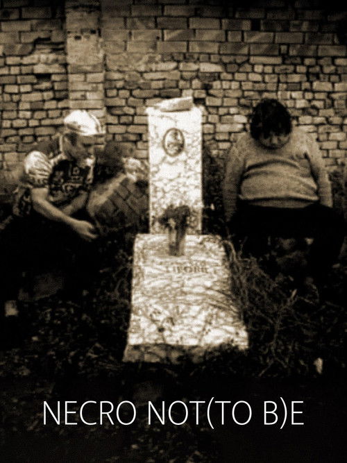 Necro not(to b)e (2003) poster