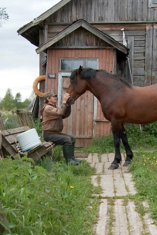 The Robinsons of Mantsinsaari (2009) poster