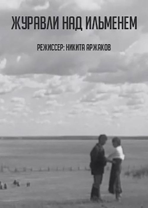 Cranes over Ilmen (2005) poster