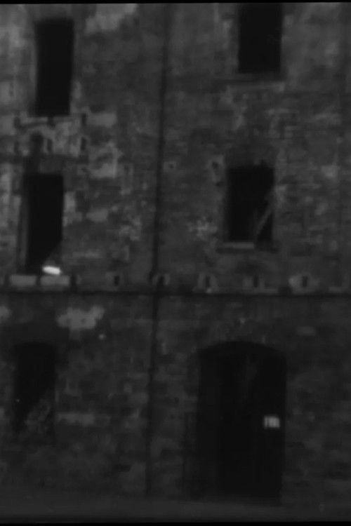 Trasparenze (2025) poster