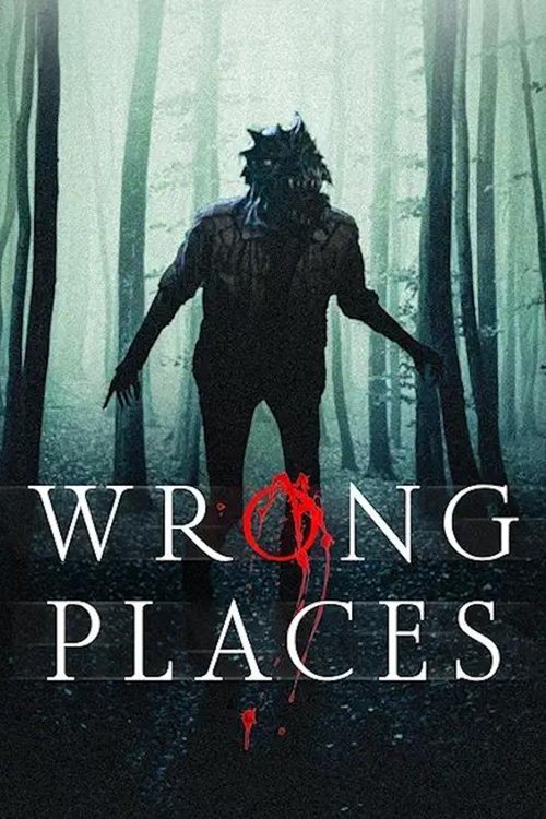 Wrong Places (2024) poster