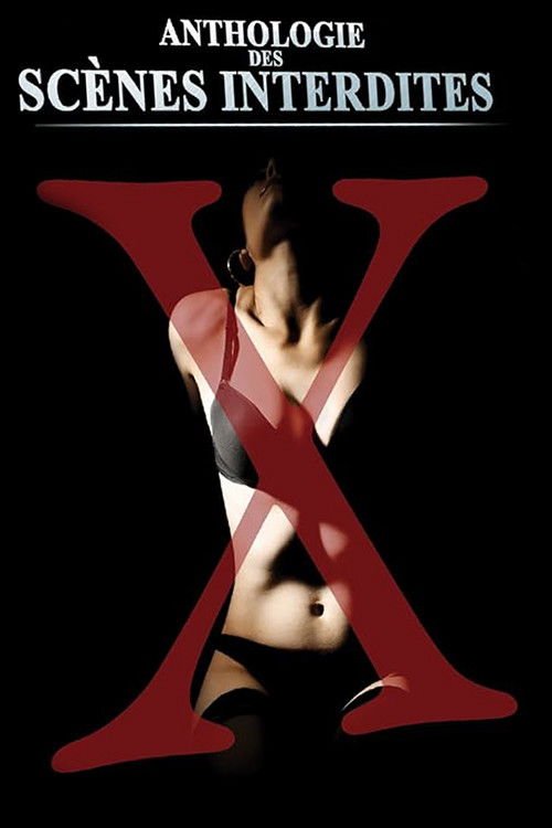 Anthologie des scènes interdites érotiques et pornographiques de José Bénazéraf (1975) poster