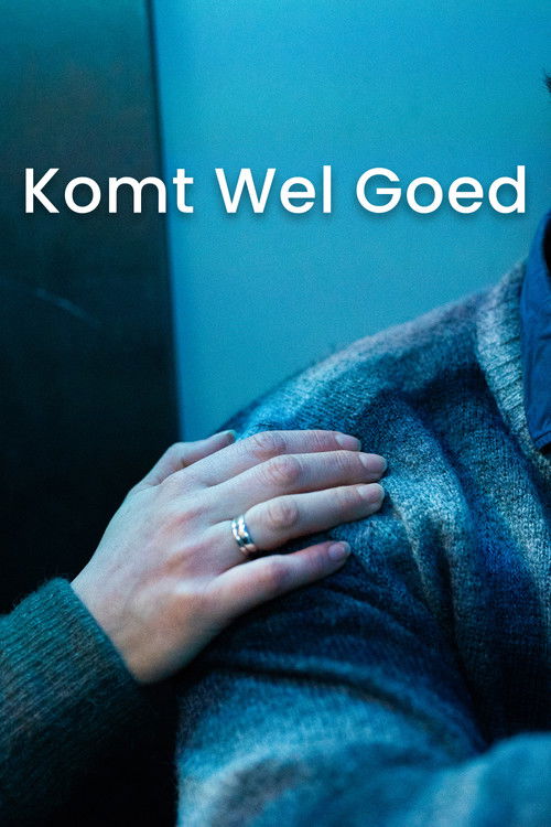 Komt Wel Goed (2025) poster